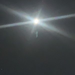 Meet your Posher, Nina